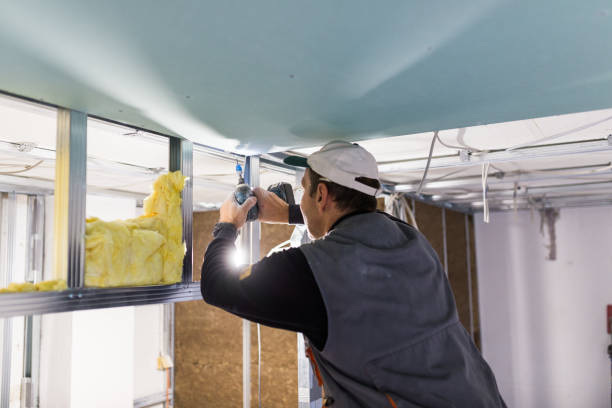 Best Insulation for Specific Applications in Boulevard Park, WA