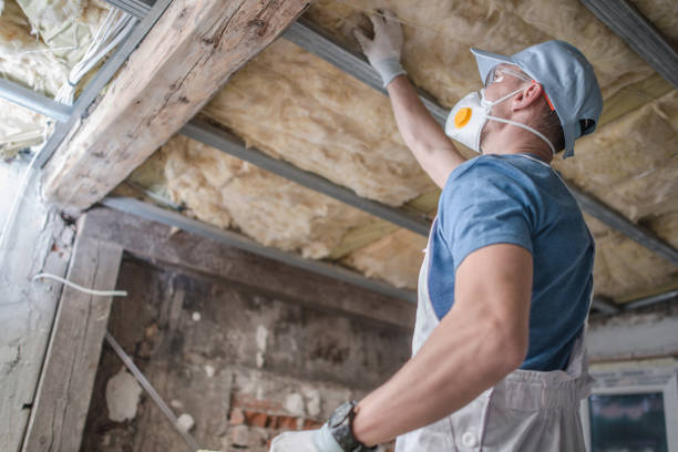 Best Insulation Maintenance and Repair in Boulevard Park, WA