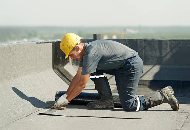 Best Fiberglass Insulation in Boulevard Park, WA