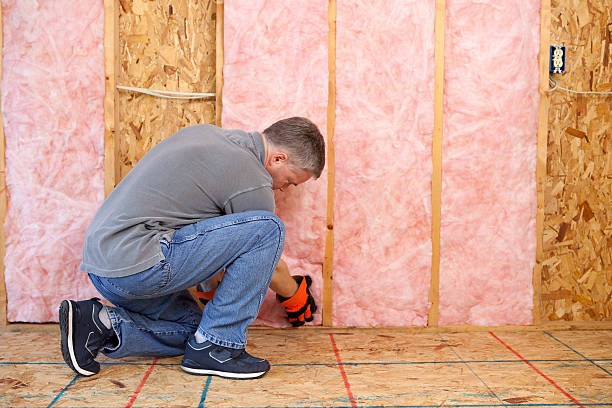 Best Specialized Insulation Services in Boulevard Park, WA