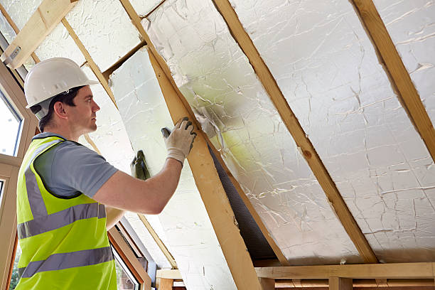 Professional Insulation Contractor in Boulevard Park, WA