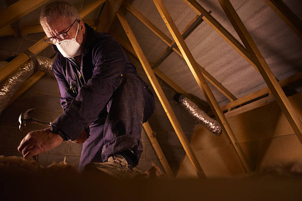 Best Cellulose Insulation in Boulevard Park, WA